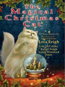 The Magical Christmas Cat