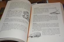  The Shadowhunters Codex