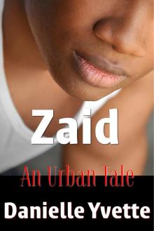 Zaid: An Urban Tale