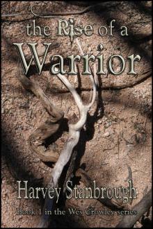 The Rise of a Warrior