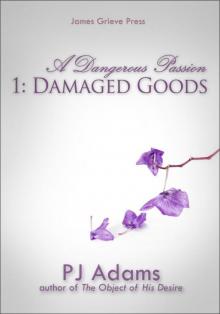 Damaged Goods (A Dangerous Passion, part one)