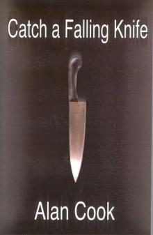 Catch a Falling Knife Catch a Falling Knife