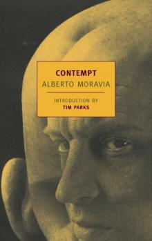 Contempt Contempt