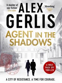 Agent in the Shadows Agent in the Shadows