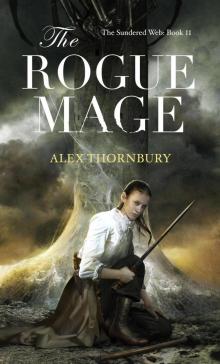 The Rogue Mage The Rogue Mage