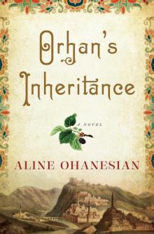 Orhan's Inheritance Orhan's Inheritance