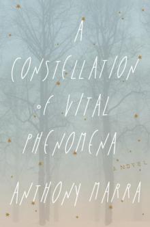 A Constellation of Vital Phenomena