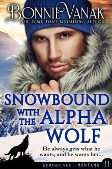 SNOWBOUND WITH THE ALPHA WOLF