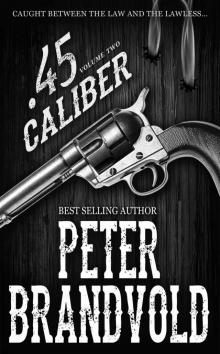 .45 Caliber Series: Volume Two: A Western Adventure Series