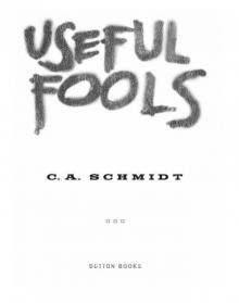 Useful Fools