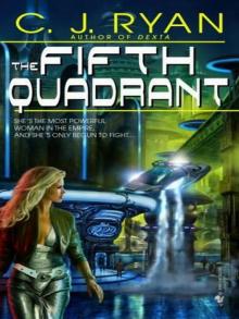 The Fifth Quadrant The Fifth Quadrant
