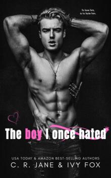 The Boy I Once Hated (Love & Hate Duet #1)