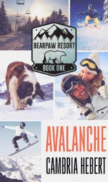 Avalanche Avalanche