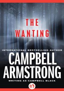 The Wanting The Wanting