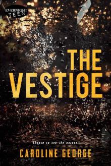 The Vestige The Vestige
