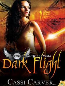 Dark Flight (The Shadow Slayers) Dark Flight (The Shadow Slayers)