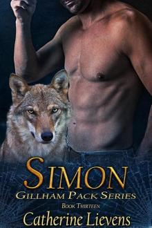 Simon Simon