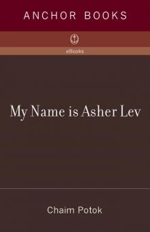 My Name Is Asher Lev