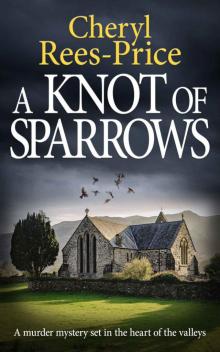 A Knot of Sparrows: a murder mystery set in the heart of the valleys