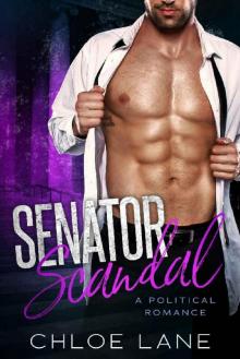 Senator Scandal: A Political Romance