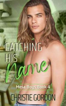 Catching His Name: A Secret Millionaire MM Romance (Mesa Boys Book 4)