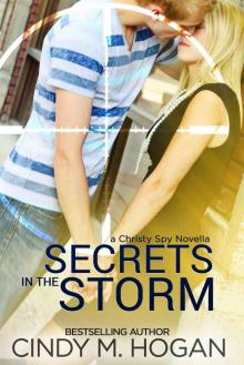 Secrets in the Storm Secrets in the Storm
