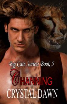 Channing: Big Cat Shifters Looking for Fated Mates (Big Cats Book 5)