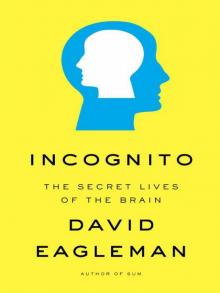 Incognito Incognito