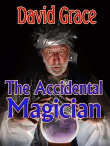 The Accidental Magician The Accidental Magician