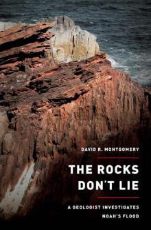 The Rocks Don't Lie: A Geologist Investigates Noah's Flood The Rocks Don't Lie: A Geologist Investigates Noah's Flood