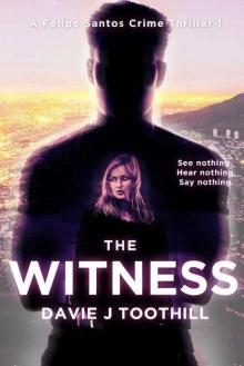 The Witness The Witness