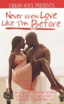 Never Knew Love Like This Before Never Knew Love Like This Before