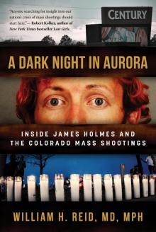 A Dark Night in Aurora A Dark Night in Aurora