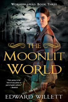 The Moonlit World The Moonlit World