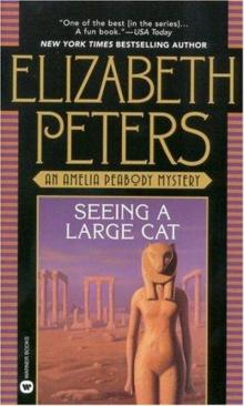 Seeing a Large Cat Seeing a Large Cat