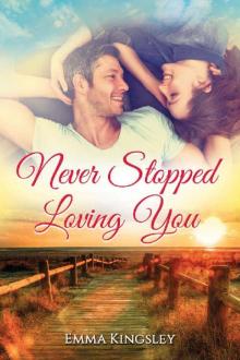 Never Stopped Loving You Never Stopped Loving You