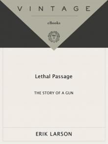 Lethal Passage: The Story of a Gun