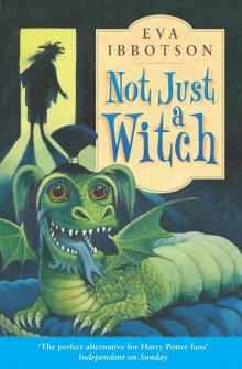 Not Just a Witch Not Just a Witch