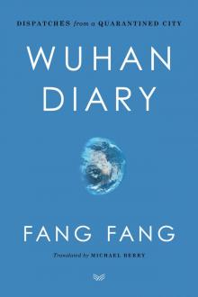 Wuhan Diary