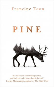 Pine Pine