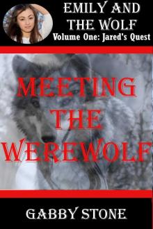 Meeting the Werewolf