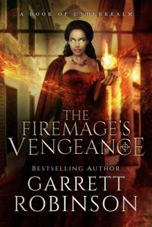 The Firemage's Vengeance The Firemage's Vengeance
