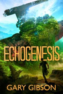 Echogenesis Echogenesis