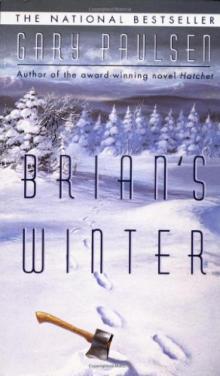 Brian's Winter br-3 Brian's Winter br-3