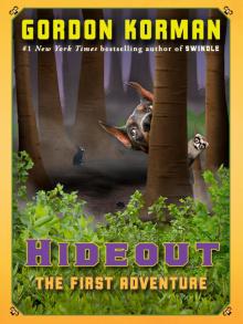 The First Adventure The First Adventure