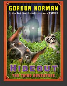 The Third Adventure The Third Adventure