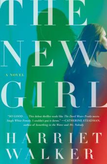The New Girl The New Girl