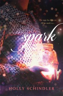 Spark Spark