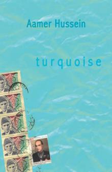 Turquoise Turquoise