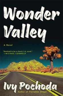 Wonder Valley Wonder Valley